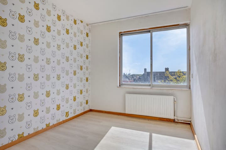 Foto 11 van Ir J.P. van Muijlwijkstraat 204