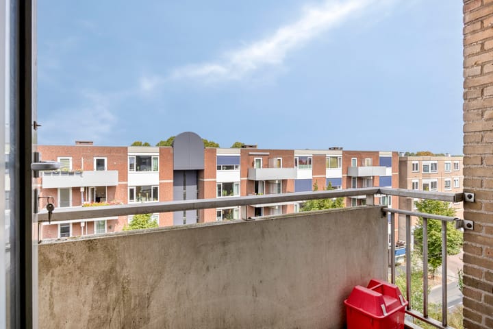 Foto 14 van Ir J.P. van Muijlwijkstraat 204