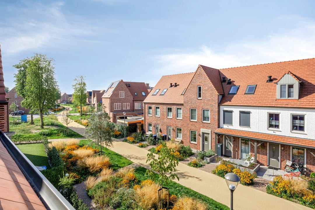 Photo 38 of Dennenhout 11