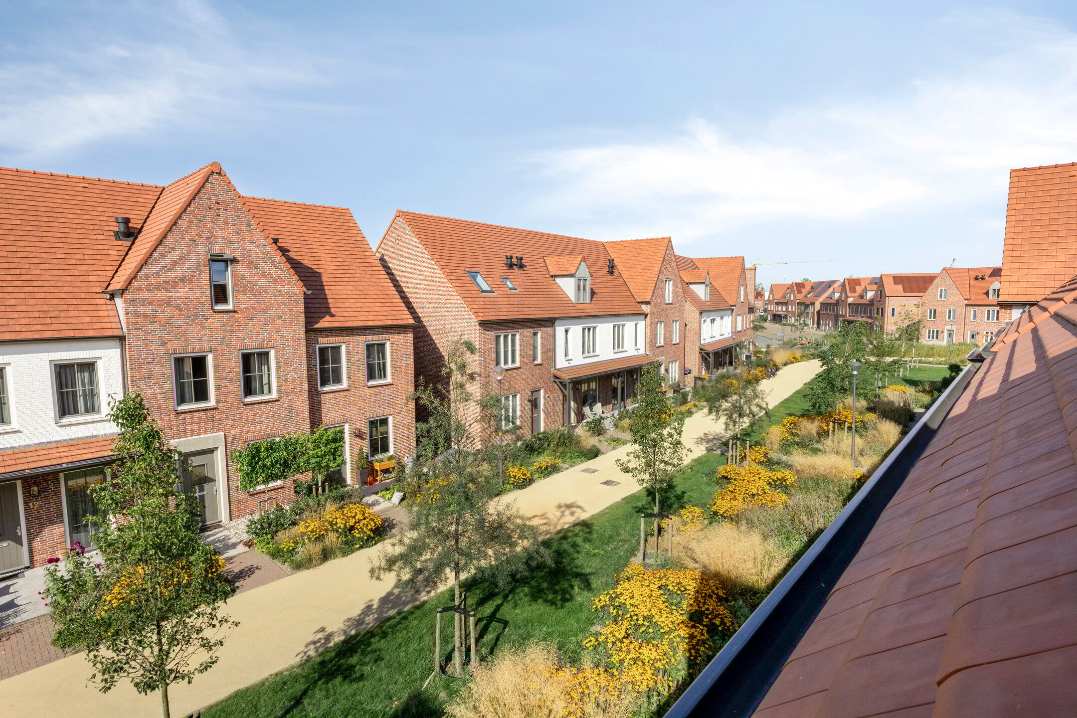 Photo 39 of Dennenhout 11