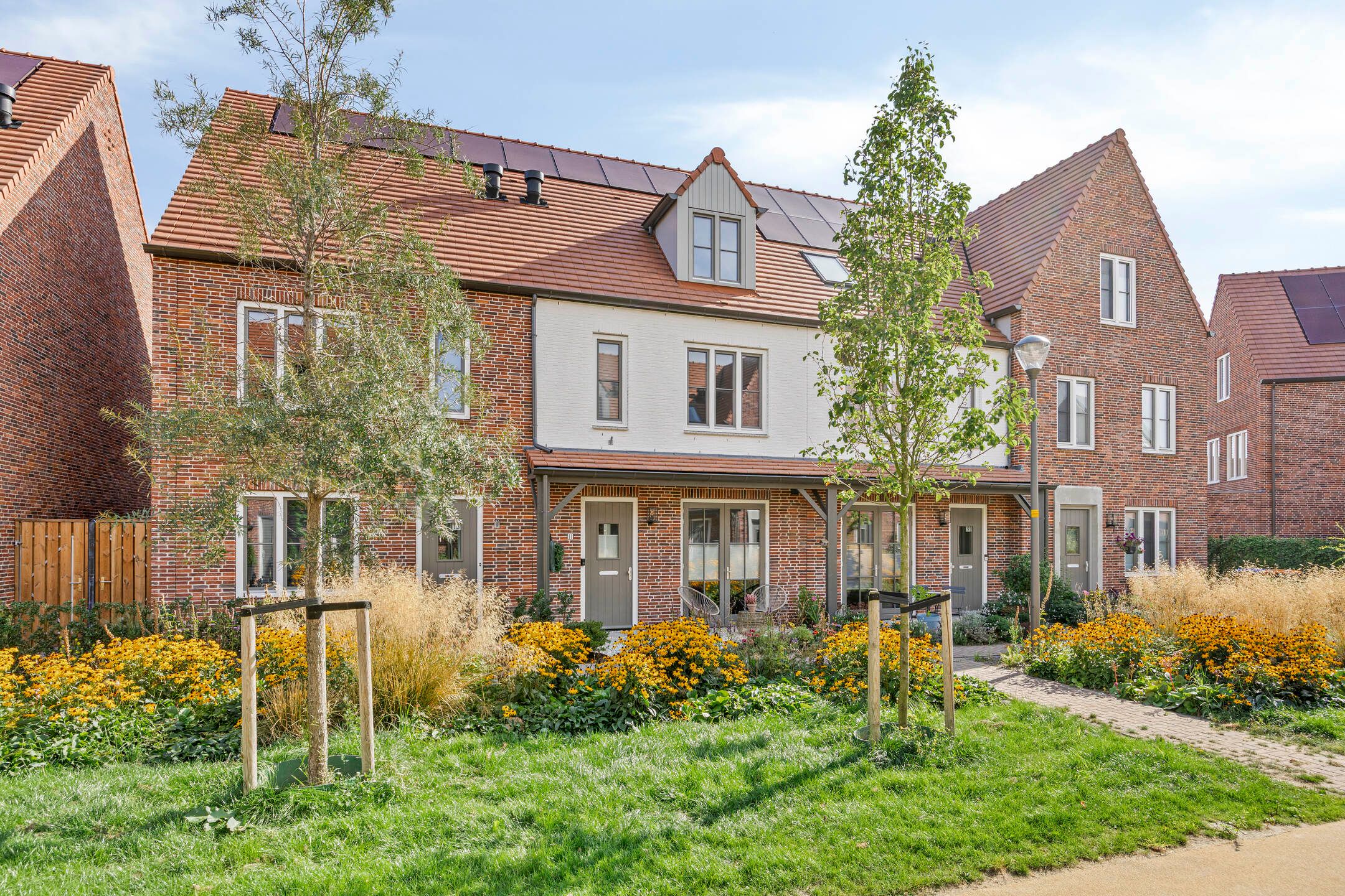 Photo 42 of Dennenhout 11