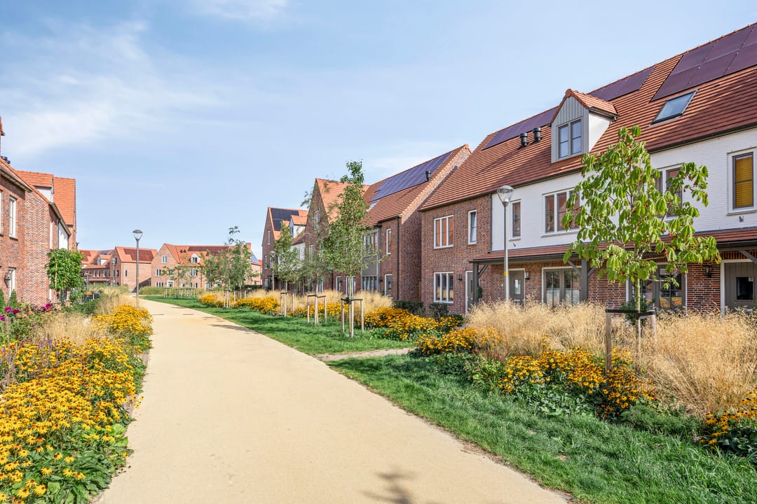 Photo 43 of Dennenhout 11