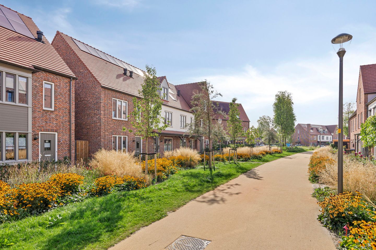 Photo 44 of Dennenhout 11