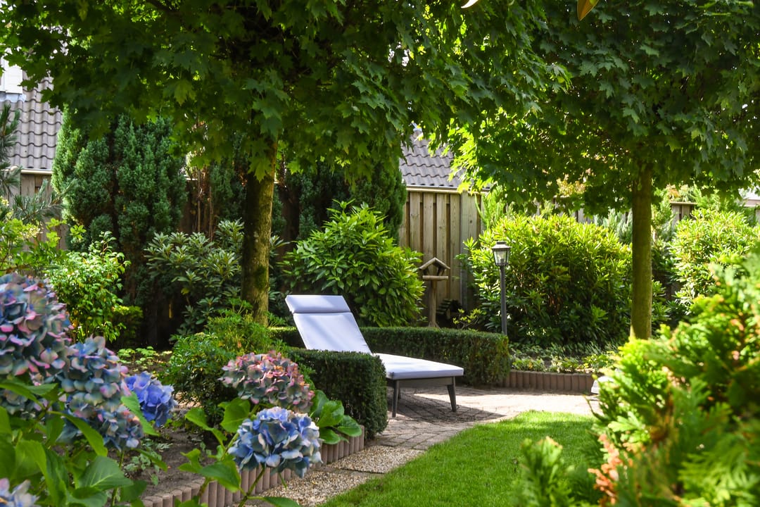 Foto 31 van Apollovlinderlaan 27