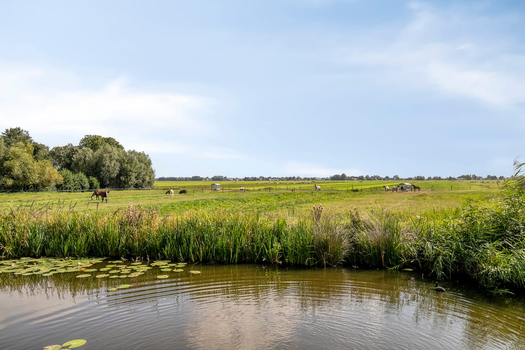 Foto 41 van Laan van Zwethof 27