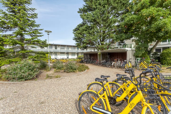 Photo 19 of De Schelp 88