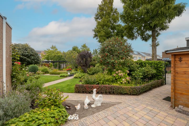 Foto 53 van Van der Does de Willeboisstraat 25