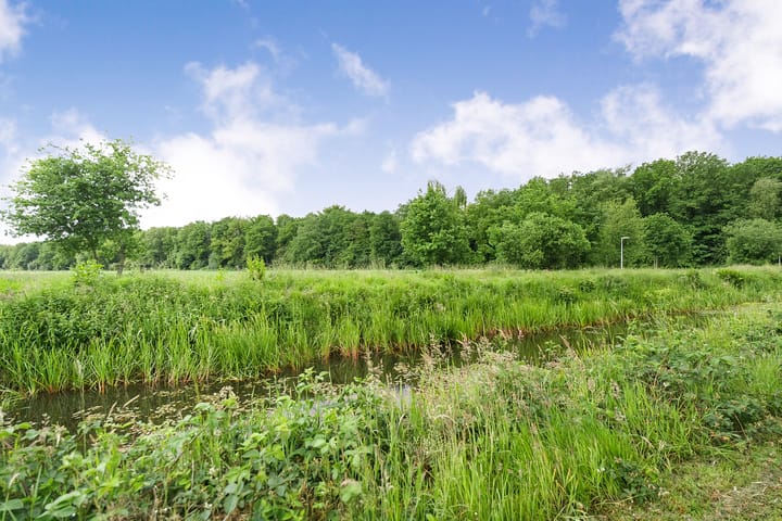 Foto 57 van Paaskamp 13