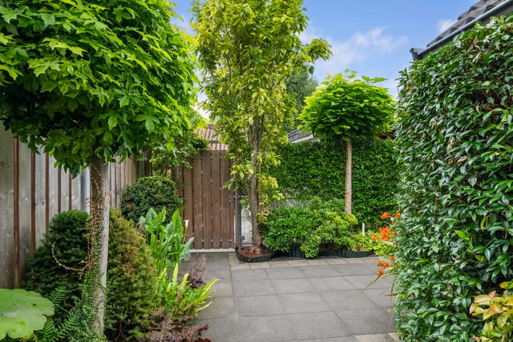 Foto 30 van Groene Zoom 11