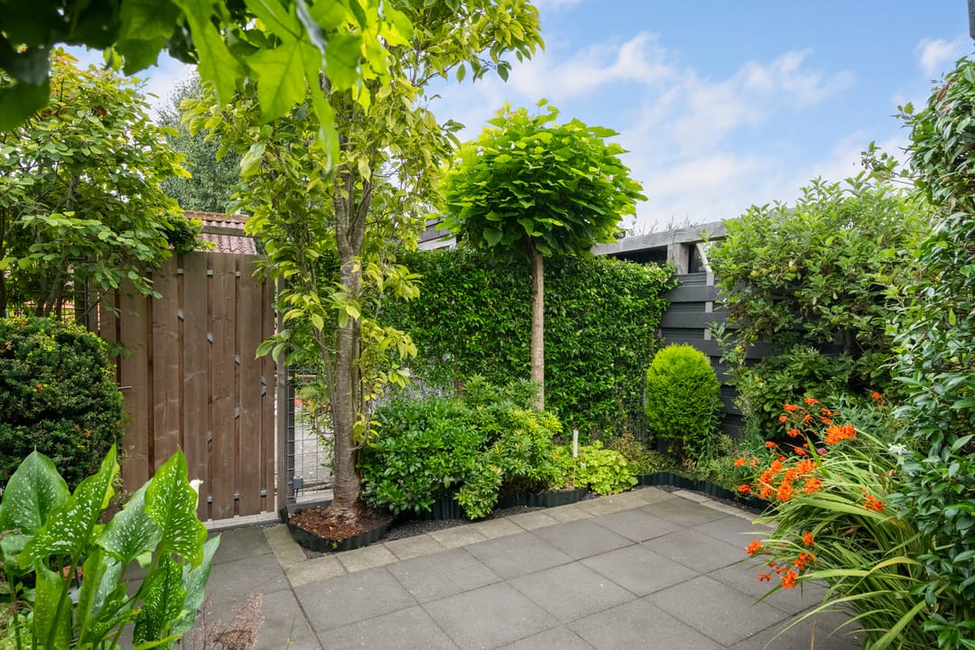 Foto 31 van Groene Zoom 11