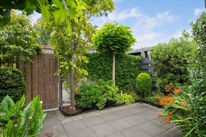 Foto 31 van Groene Zoom 11