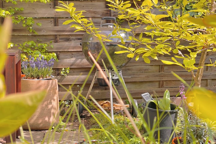 Photo 19 of Filips van Almondestraat 11-H