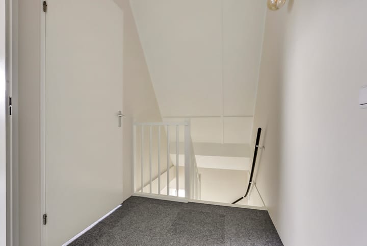 Foto 28 van Lapjeskat 27