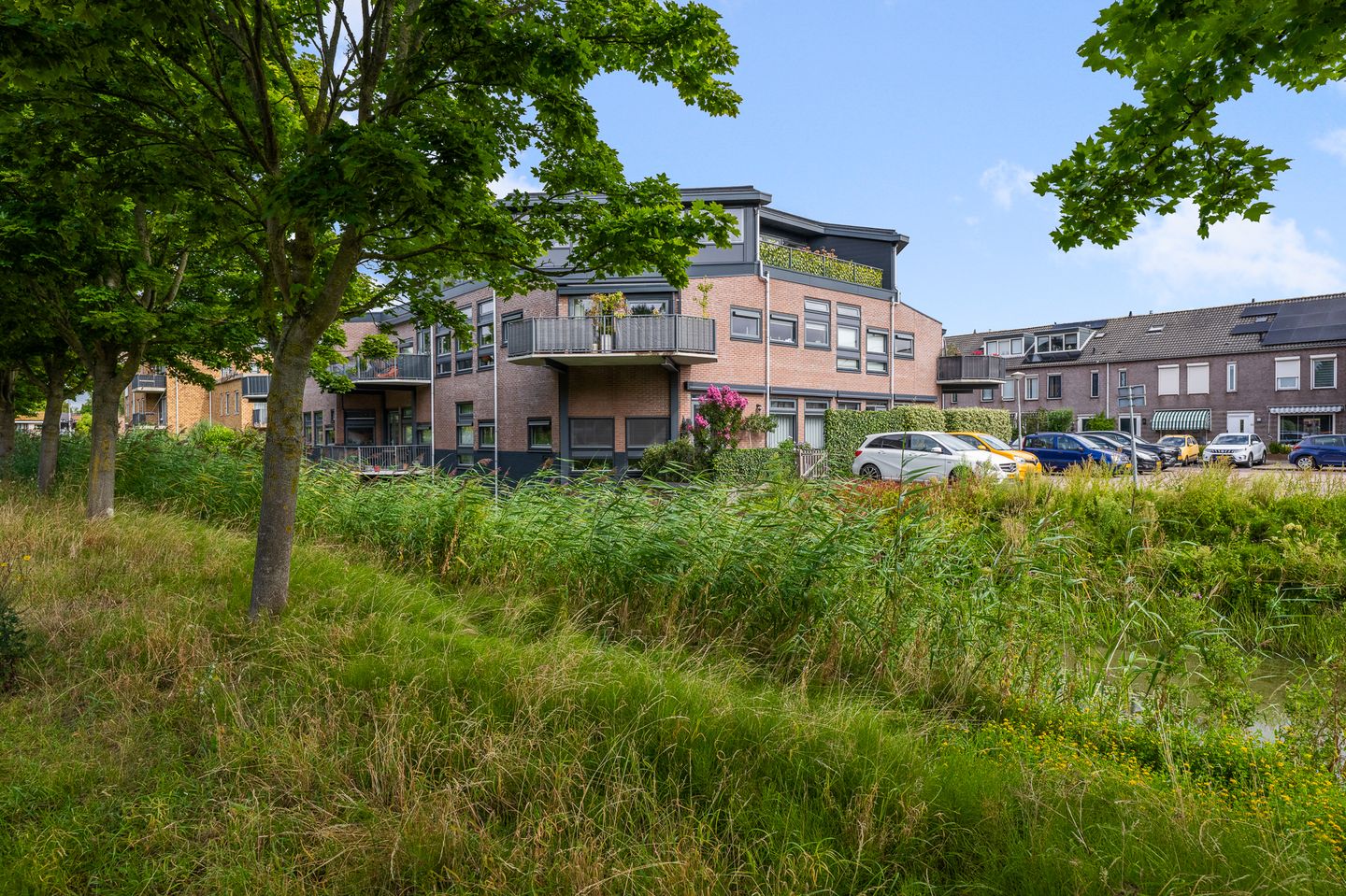 Foto 1 van Winterkoning 2-A