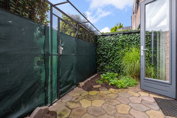 Foto 19 van Winterkoning 2-A