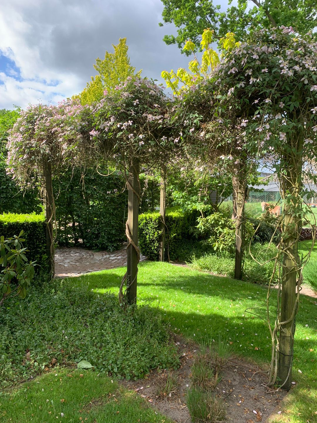 Foto 41 van Irenestraat 62