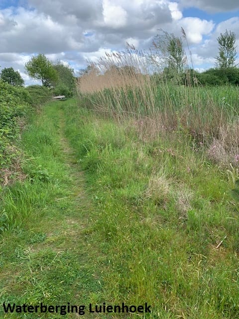 Foto 47 van Irenestraat 62