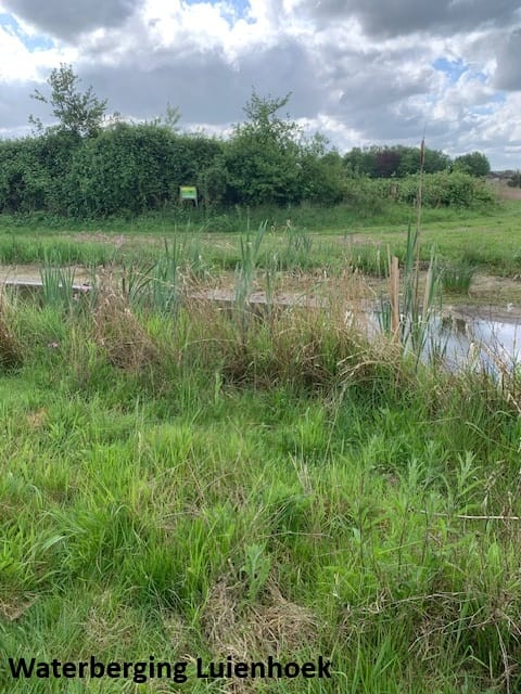 Foto 48 van Irenestraat 62