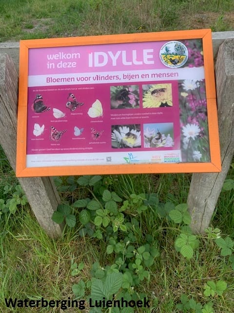 Foto 49 van Irenestraat 62