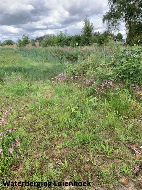 Foto 50 van Irenestraat 62