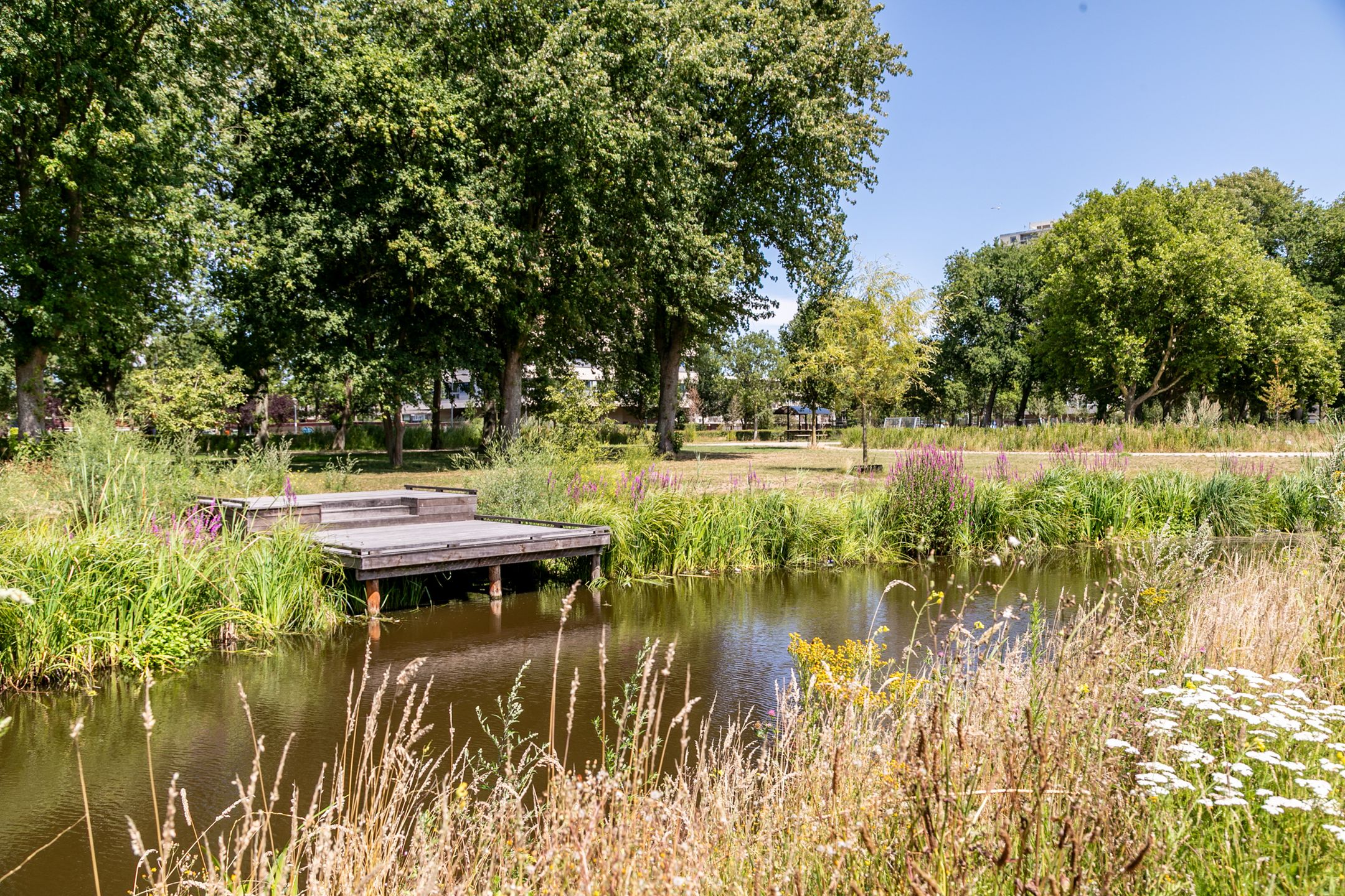 Foto 33 van Spijkerboorweg 438