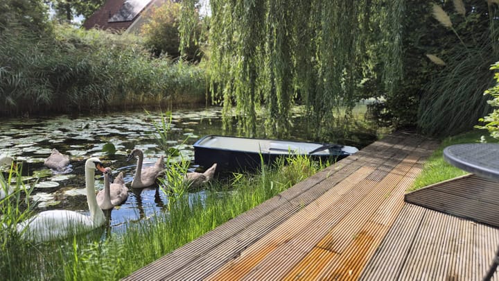 Foto 45 van Winde 123