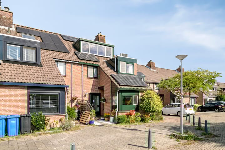 Foto 1 van Inkarnaatklaver 21