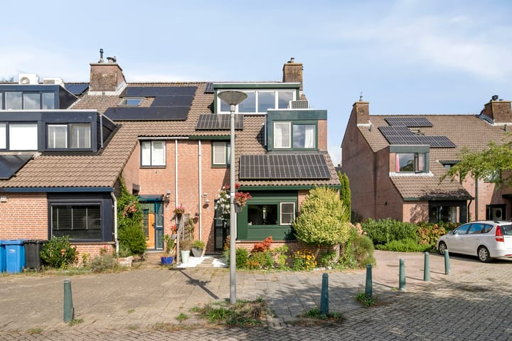 Foto 3 van Inkarnaatklaver 21