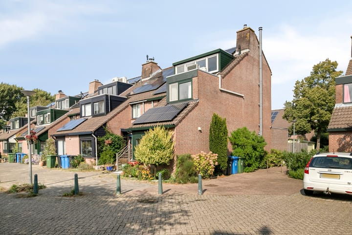 Foto 4 van Inkarnaatklaver 21