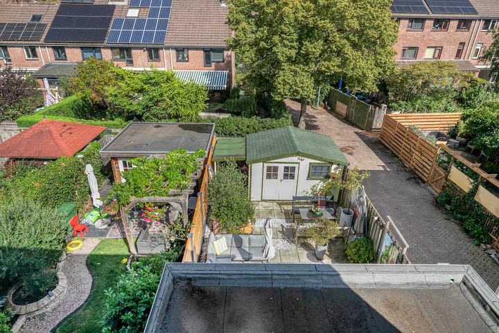 Foto 32 van Inkarnaatklaver 21