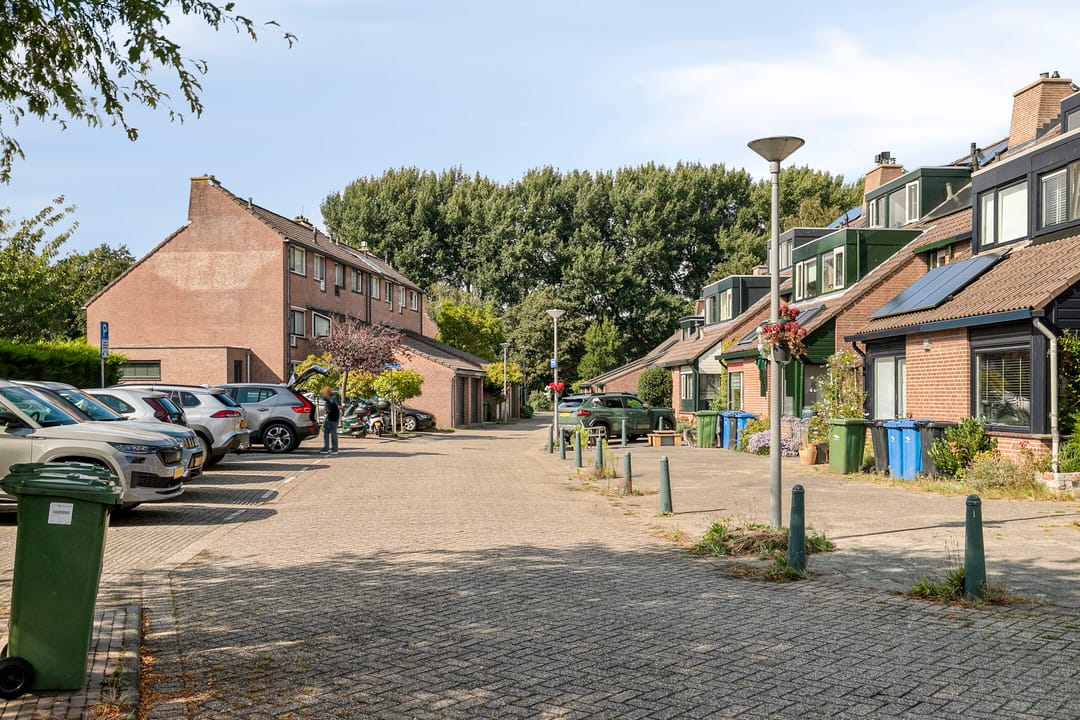 Foto 38 van Inkarnaatklaver 21