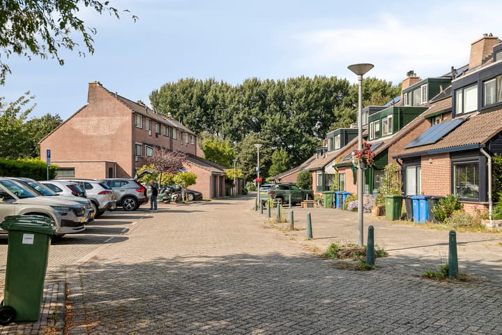 Foto 38 van Inkarnaatklaver 21