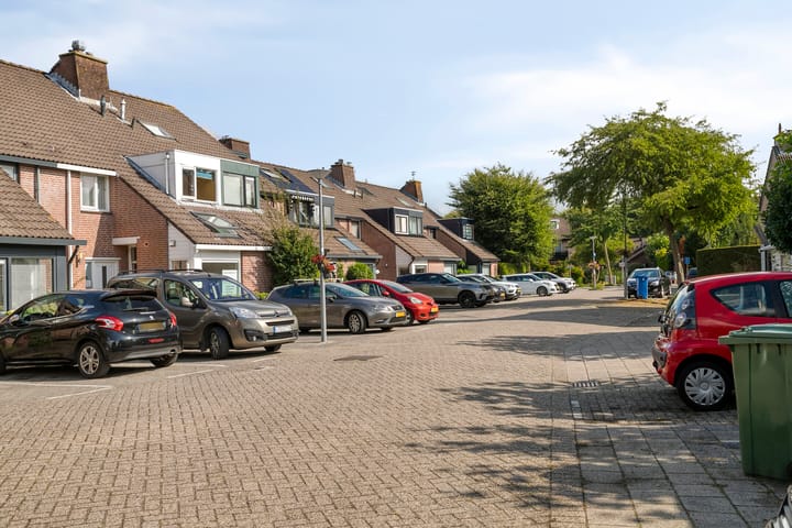 Foto 39 van Inkarnaatklaver 21