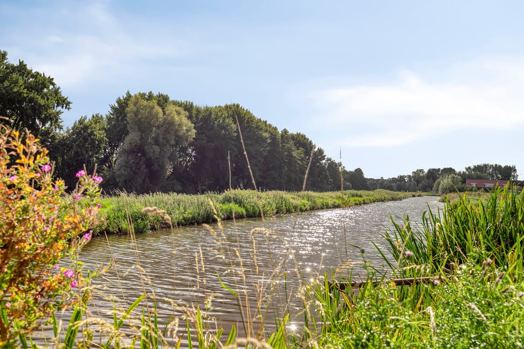 Foto 41 van Inkarnaatklaver 21