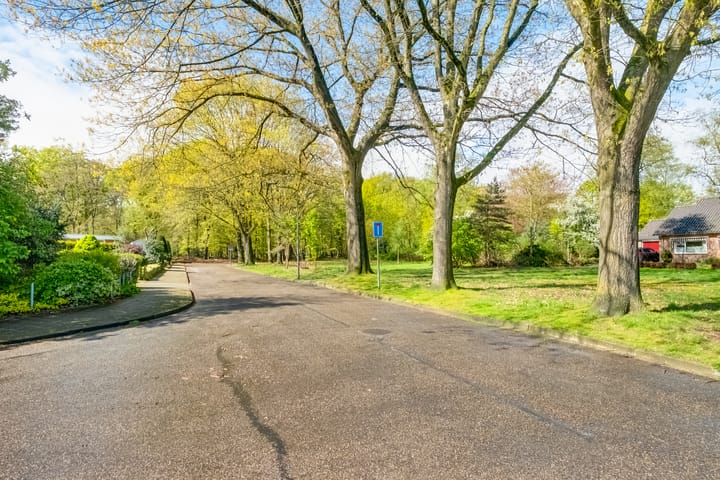 Photo 29 of Bernard Zweerslaan 34