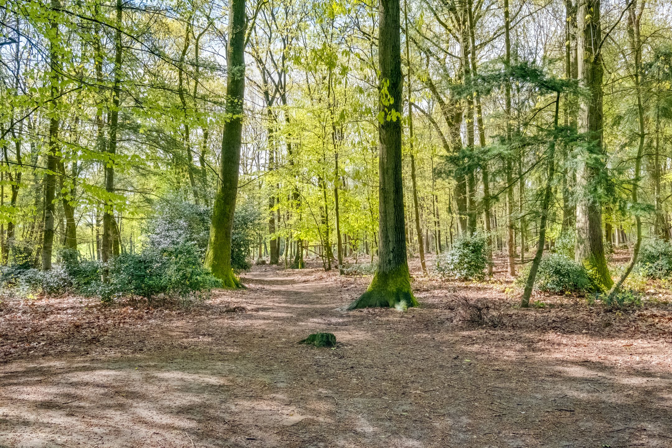 Foto 30 van Bernard Zweerslaan 34