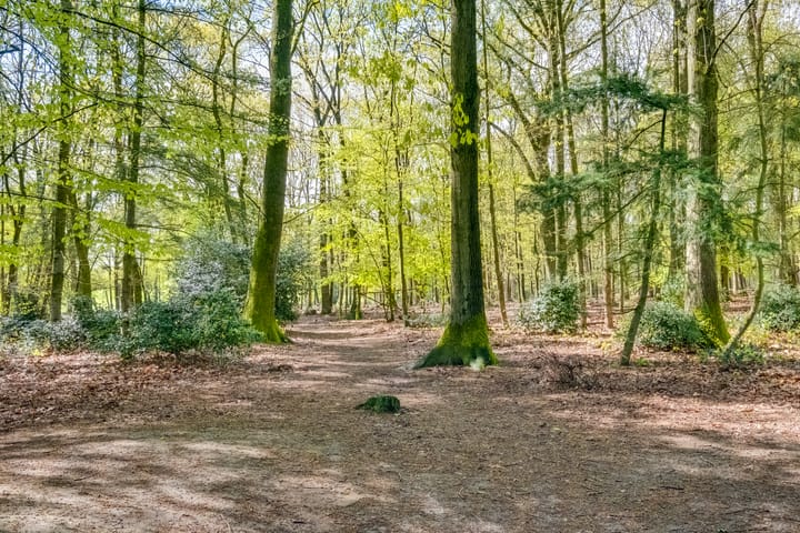 Photo 30 of Bernard Zweerslaan 34