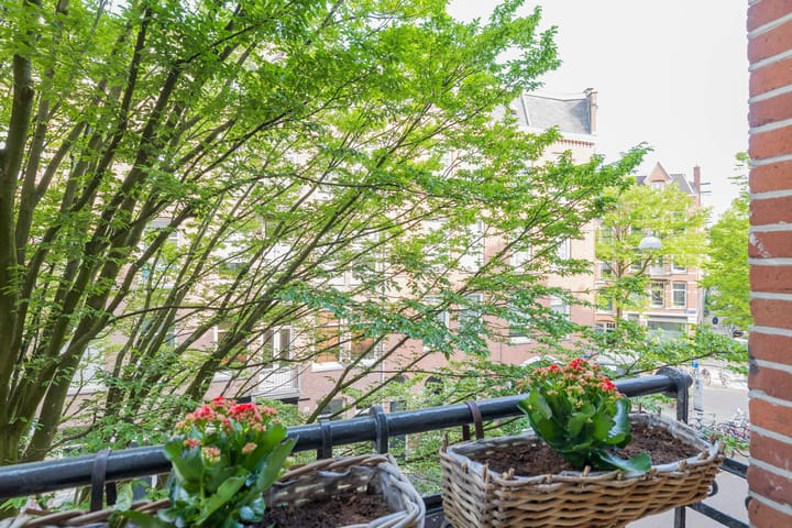 Foto 12 van Dusartstraat 65-2