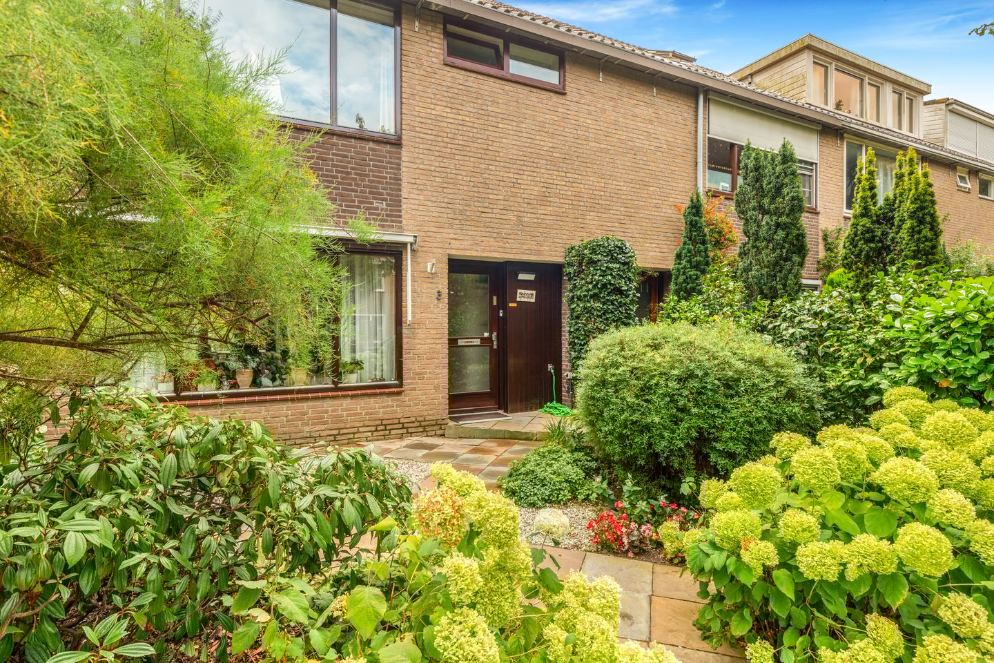 Foto 5 van Helmbloem 3