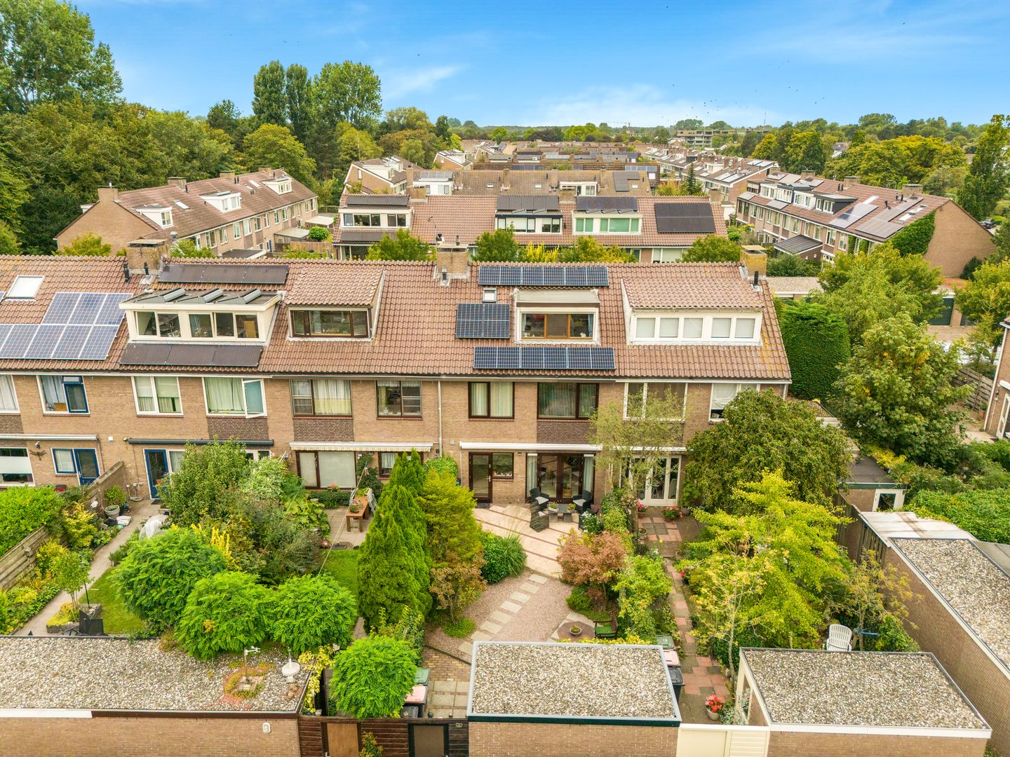 Foto 40 van Helmbloem 3