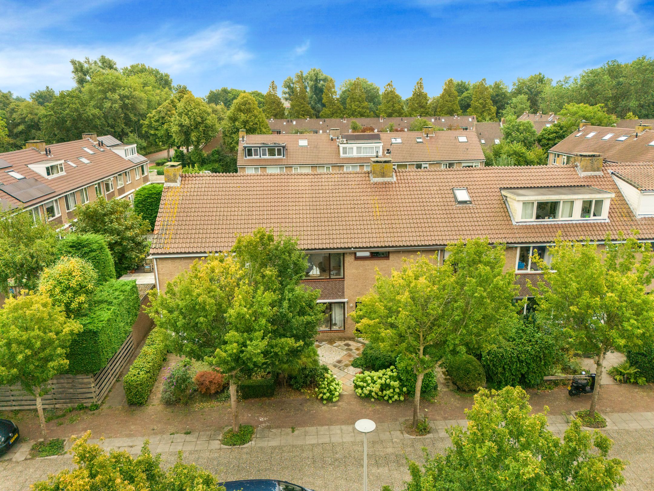 Foto 45 van Helmbloem 3