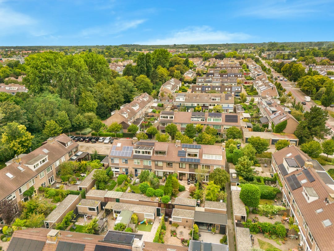 Foto 46 van Helmbloem 3