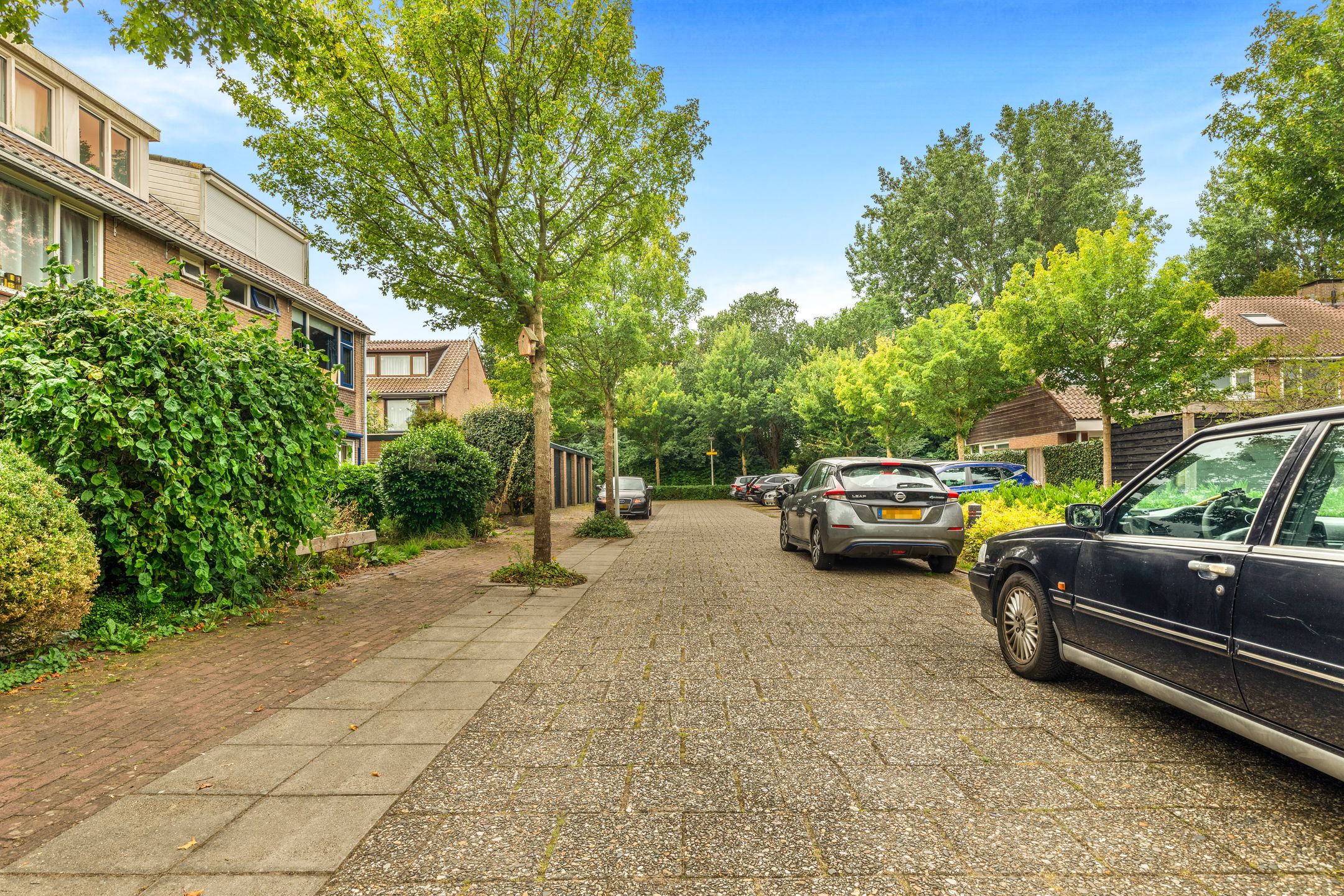 Foto 48 van Helmbloem 3