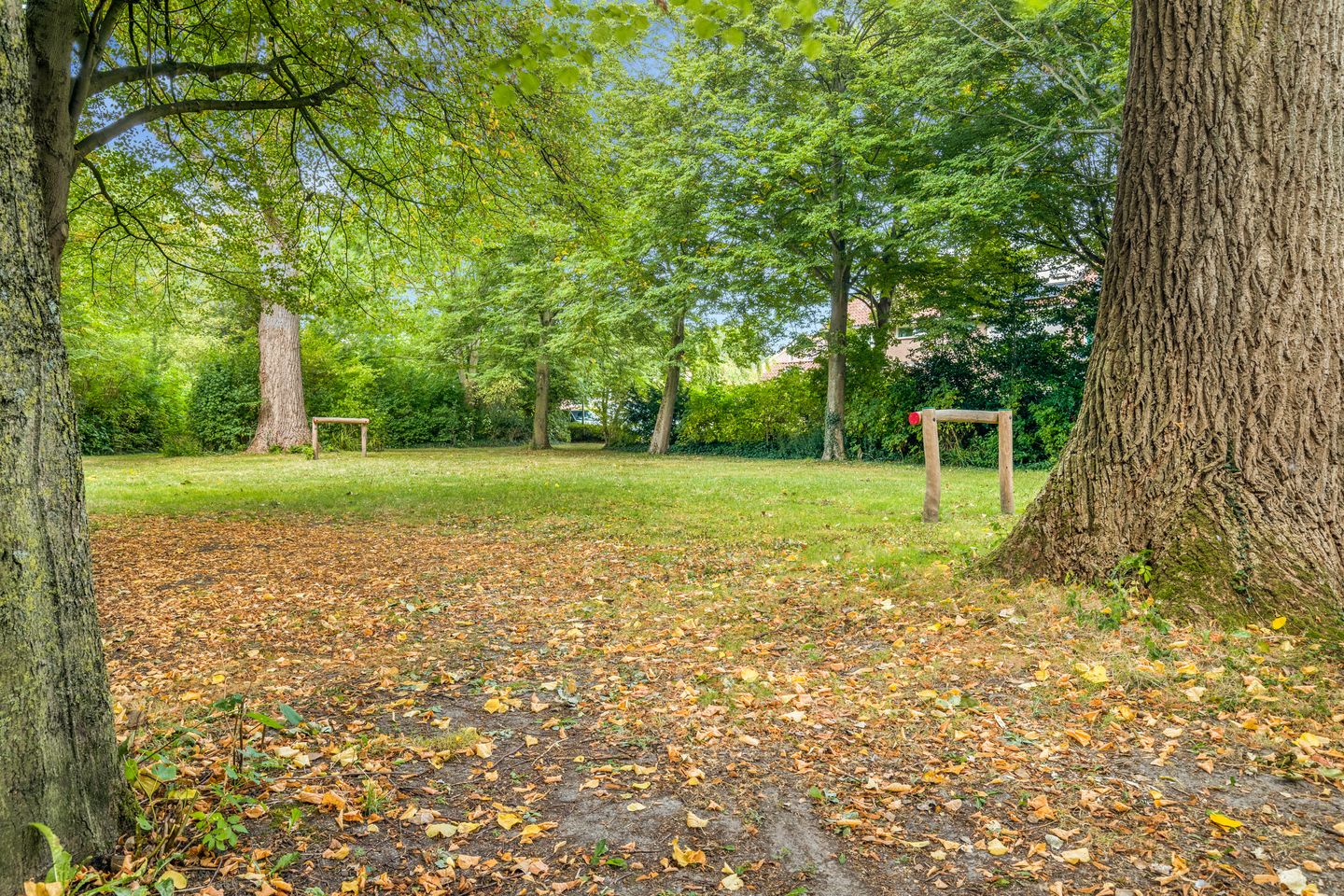 Foto 49 van Helmbloem 3