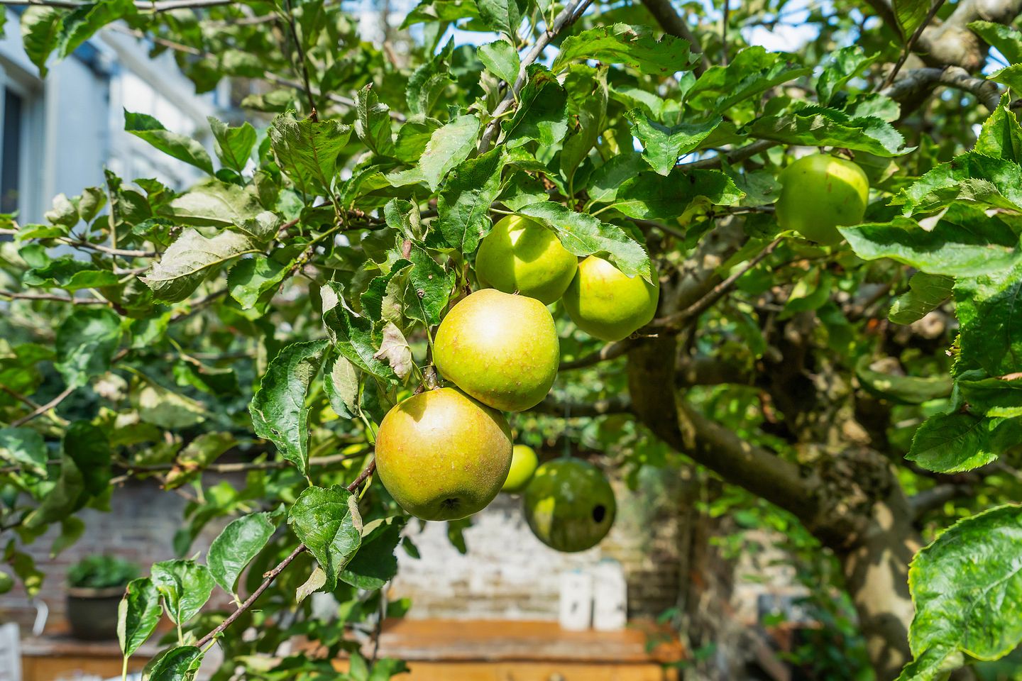 Photo 49 of Kastanjelaan 27