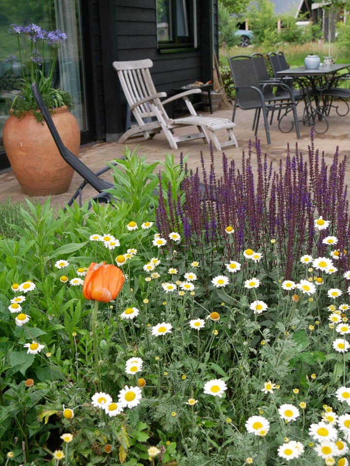 Foto 32 van Paalhoeveweg 11