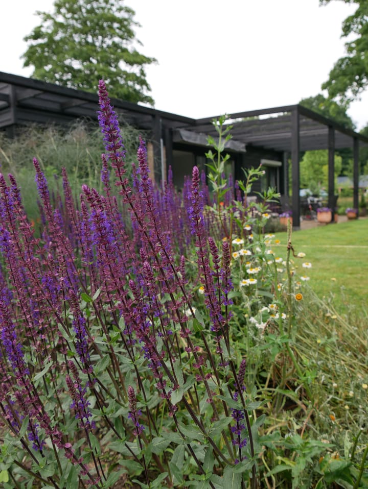 Foto 33 van Paalhoeveweg 11