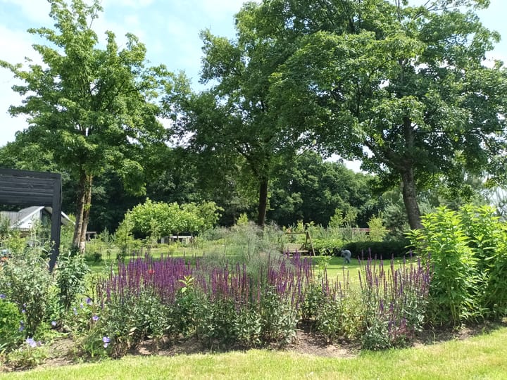 Foto 34 van Paalhoeveweg 11