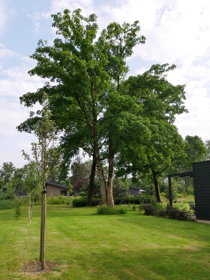 Foto 37 van Paalhoeveweg 11