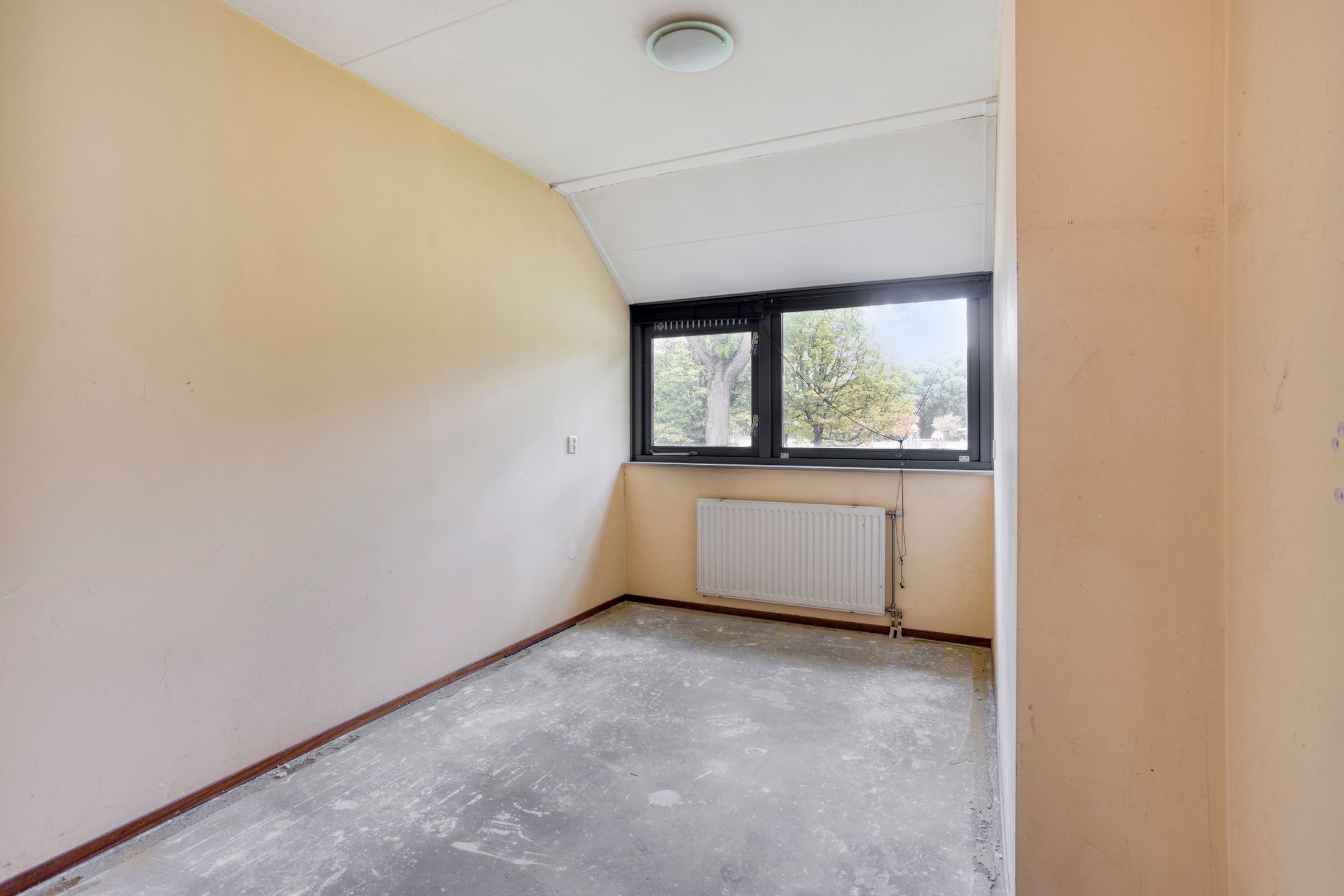 Photo 18 of Dieze 87